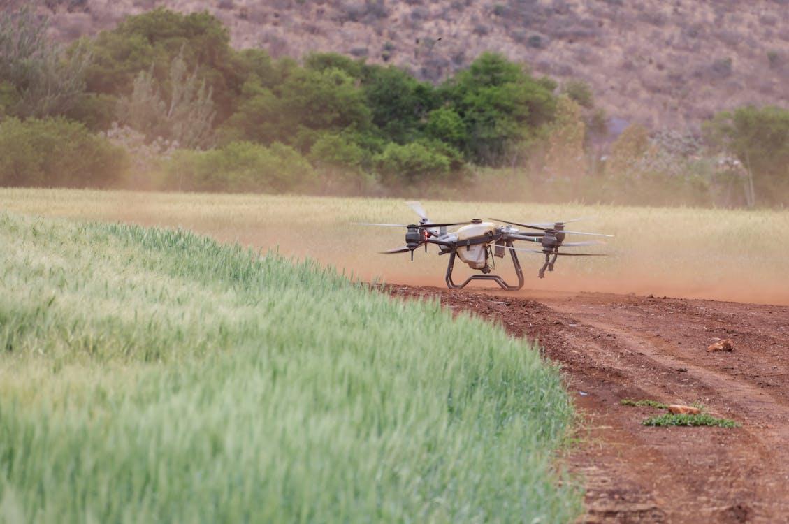 How NDVI Drone Surveys Are Transforming Smallholder Agriculture