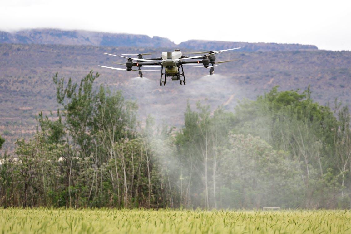 Crop Health Monitoring — Bugesera District